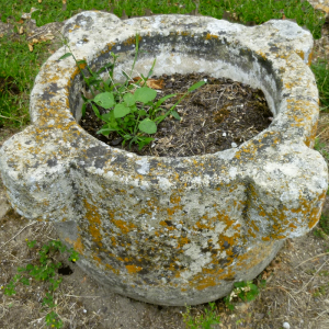 Stoup of the Presbytery of Les Ormes